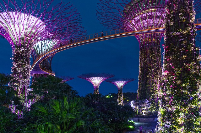 What Do Singapore Bicentennial Celebrations Signify?